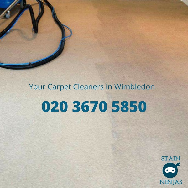 Carpet Cleaning